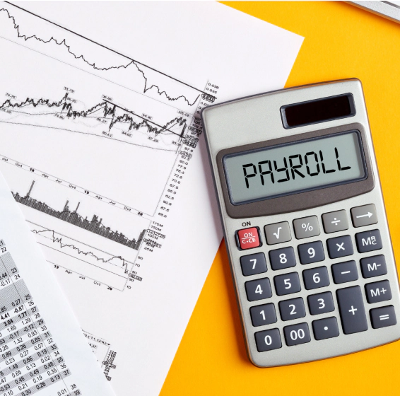 Payroll Solutions (1)